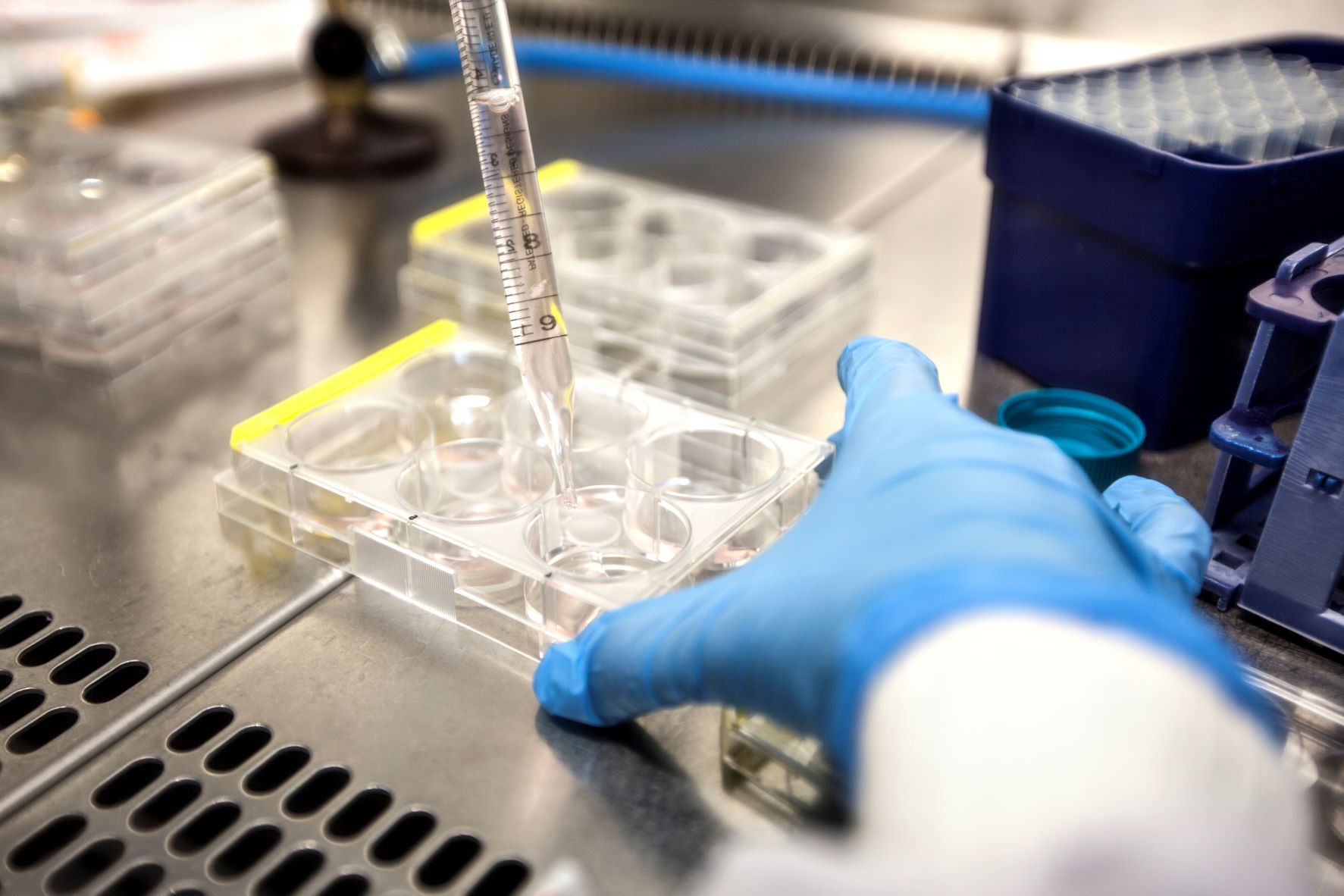 Now Fertility Lab photo Web